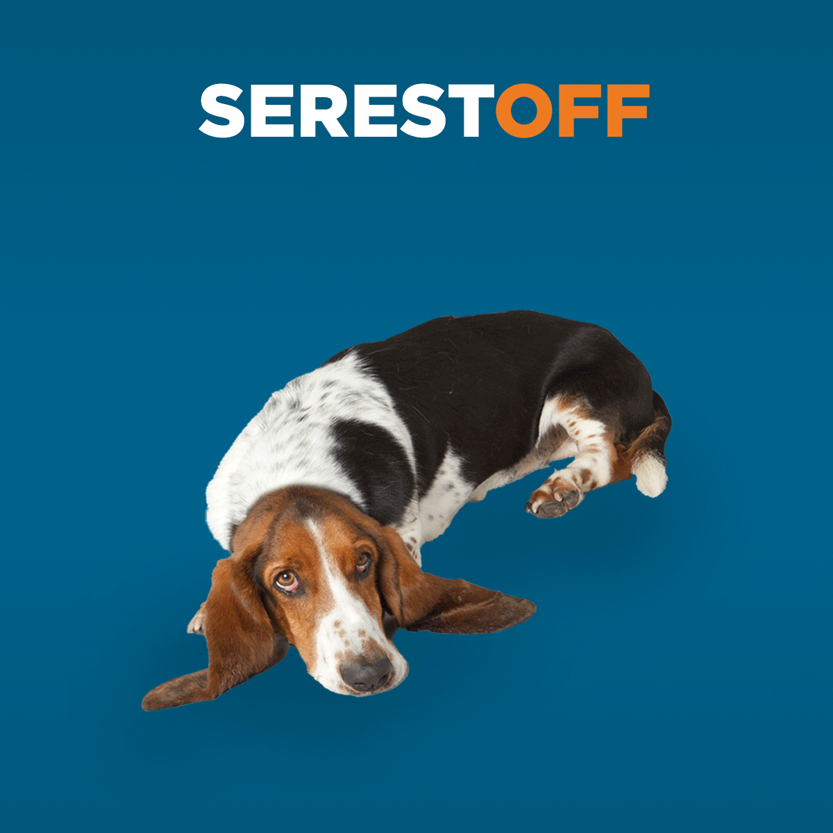 sereston_2 2